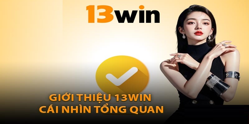 Tổng quan về nhà cái và cách đặt cược trên 13Win
